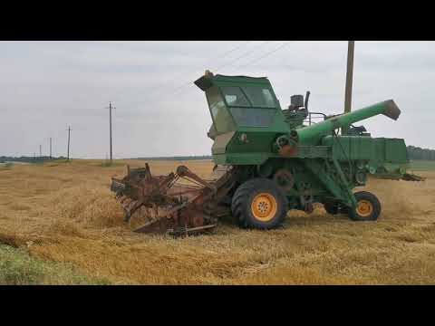 Видео: Тяжелейшая уборка полёглой пшеницы комбайном СК-5 Нива.