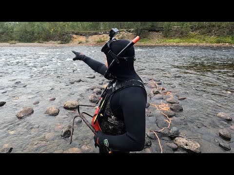 Видео: Подводный поиск с "КОШКОЙ" РАДУЕТ НАХОДКАМИ / Underwater search