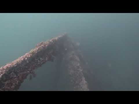 Видео: Подводная охота на кутума, лето 2024г