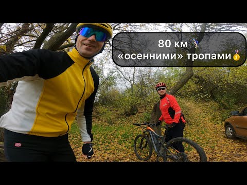 Видео: 80 км осенними тропами, по живописным местам вблизи Николаева.
