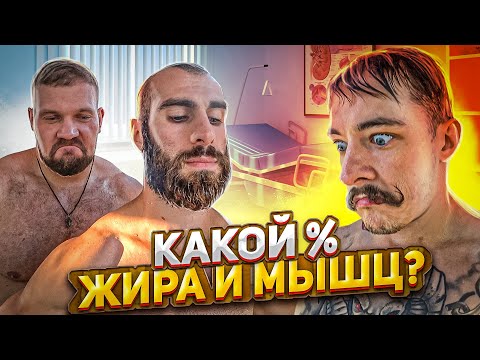 Видео: СКОЛЬКО МЫШЩ И ЖИРА У БЛУДА, ГОГИ, МАЛАНА И САРЫЧЕВА?