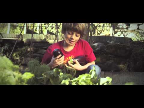 Видео: О компании АМС. Часть 1