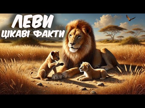 Видео: Лев - цар звірів. Цікаві факти про левів. Лев