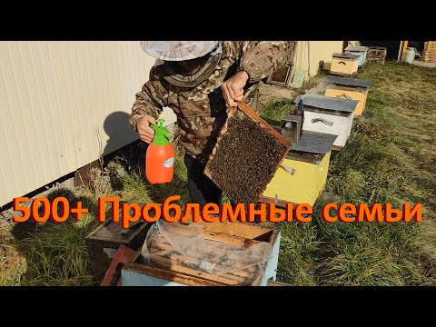 Видео: 500+ Ноябрь. Про проблемные семьи + подготовка к эксперименту.