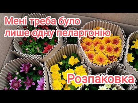 Видео: Розпаковка з Інтернет-магазину KvitkaDnepr