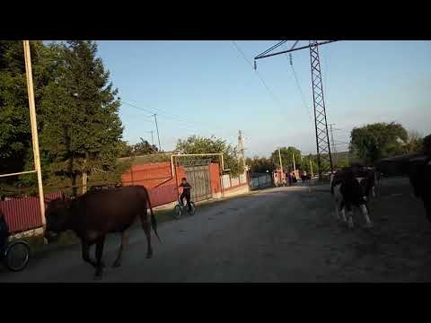 Видео: Город ГРОЗНЫЙ, въезд в посёлок Кирова со стороны Алхан-калы