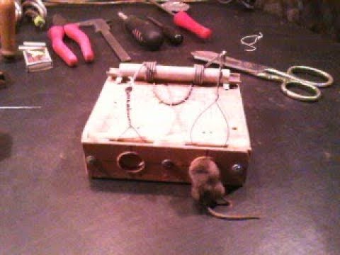 Видео: Реально простейшая , самодельная конструкция обычной мышеловки , из деревянного бруска.