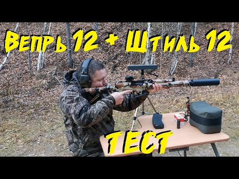 Видео: ПУЛЯ 12 КАЛИБРА на ДОЗВУКЕ || ДТК ШТИЛЬ 12