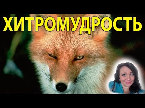 Видео: "Хитромудрость."  Вебинар  Натальи Эрас 19 03 2018