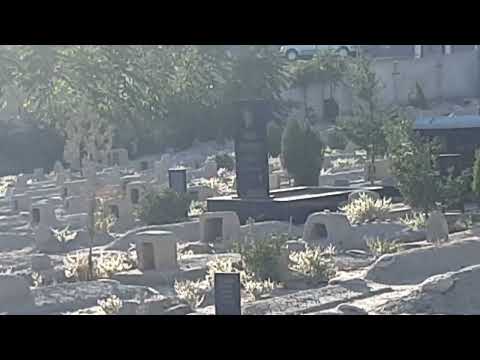 Видео: город Исфара