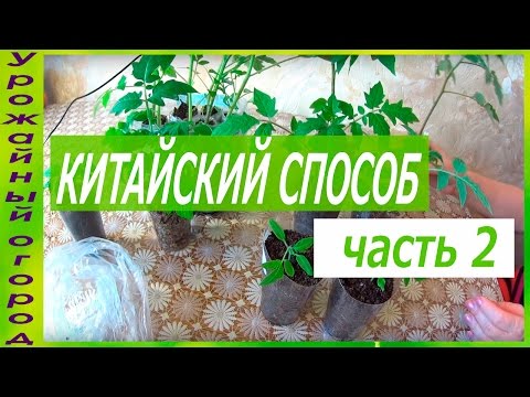 Видео: ►РЕЗУЛЬТАТ КИТАЙСКОГО СПОСОБА ЧЕРЕЗ 1 МЕСЯЦ!