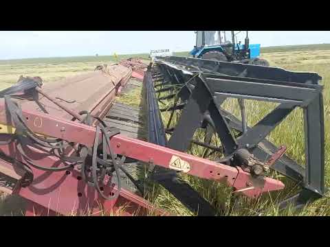 Видео: Сенокос 2025. Огромные валки пырея.