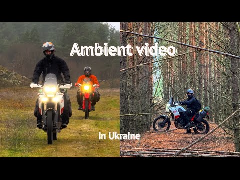 Видео: Спостерігай, cлухай, відчувай (Ambient video)
