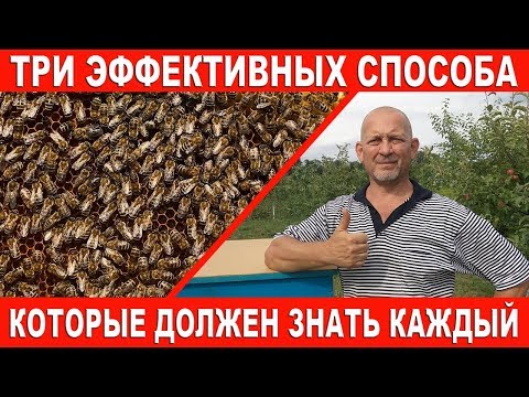 Видео: Три эффективных способа которые должен знать каждый!