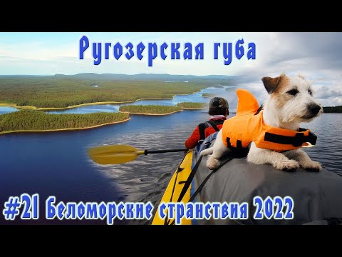 Видео: #21  Губа Ругозерская | Ковдозеро | Беломорские странствия 2022