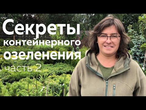 Видео: Секреты контейнерного озеленения.часть 2