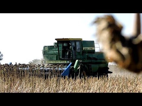 Видео: Уборка ПОДСОЛНУХА 2017.Комбайн ДОН 1500А