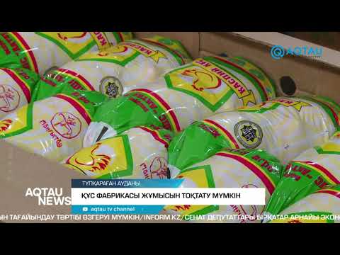 Видео: ҚҰС ФАБРИКАСЫ ЖҰМЫСЫН ТОҚТАТУ МҮМКІН