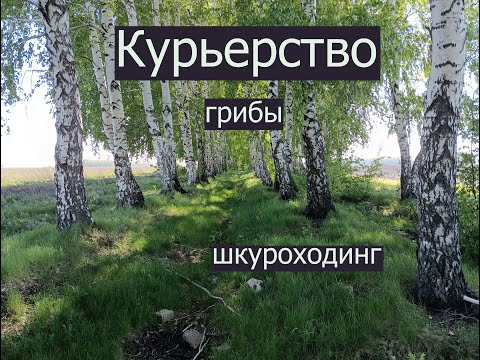 Видео: Заказ не влазит в короб - штраф!