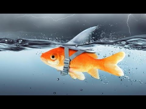 Видео: Какие возможности откроются вам до конца года?💫👏🧚