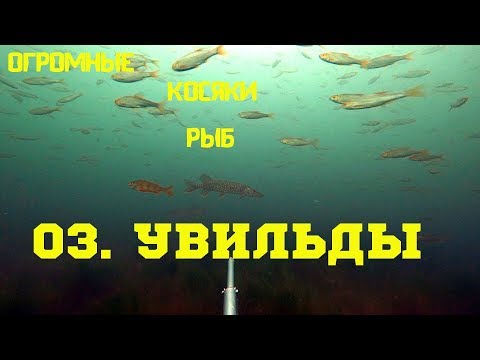 Видео: озеро Увильды 2018 год