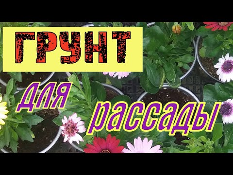 Видео: Грунт, мои эксперименты. Обзор готовых субстратов.