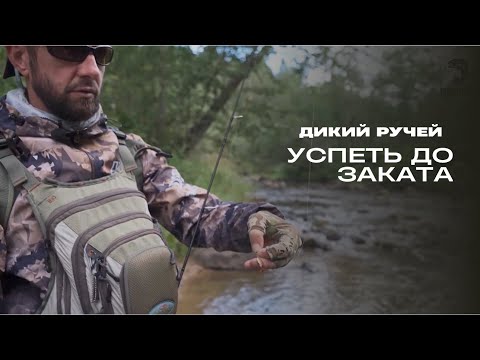 Видео: Успеть до заката. Дикий ручей