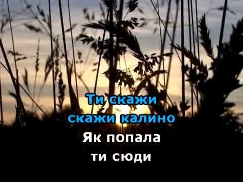 Видео: При долині кущ калини караоке гурт Експрес