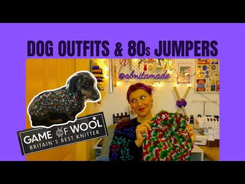 Видео: Игра в шерсть. Эпизод 2 и праздничный свитер Роя 🐾🎄🧶