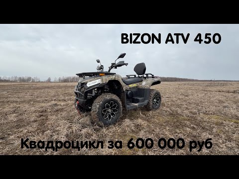 Видео: BIZON ATV 450. Доступный, хороший квадроцикл за 600 000 рублей.