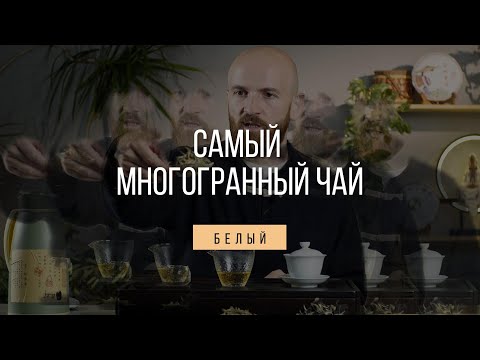 Видео: БЕЛЫЙ КИТАЙСКИЙ ЧАЙ - МИФЫ, ЛЕГЕНДЫ, РЕАЛЬНЫЕ ФАКТЫ