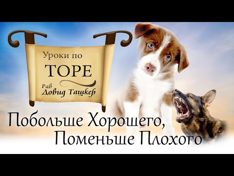 Видео: Побольше хорошего, поменьше плохого. Глава Ки-таво.