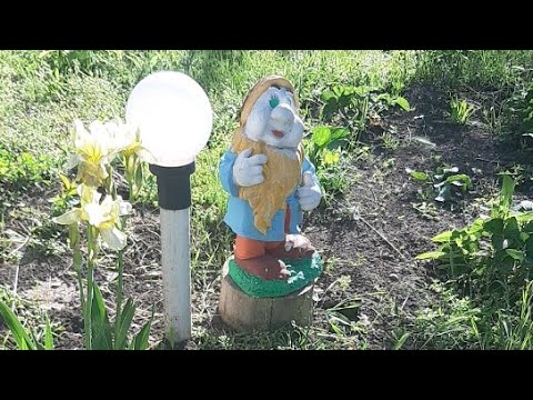 Видео: Будет Ли У Вас Ещё Встреча