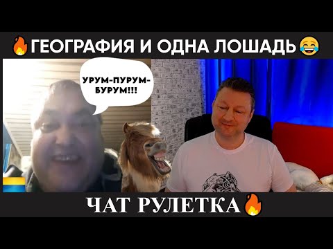 Видео: География и одна лошадь 🤣 (юмор) чат рулетка