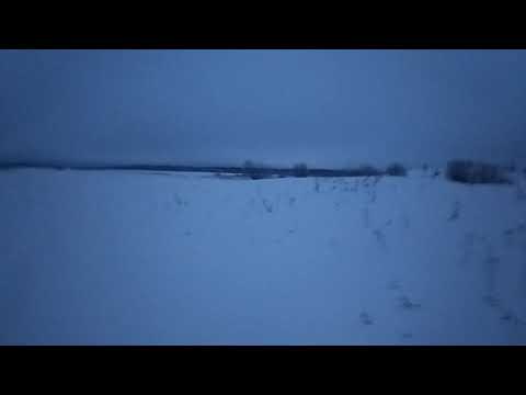 Видео: Нападение раненого медведя (горе-охотники)