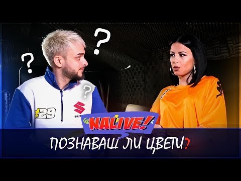 Видео: NALIVE! EPISODE 3: КОЛКО ДОБРЕ КРИСКО ПОЗНАВА ЦВЕТИ