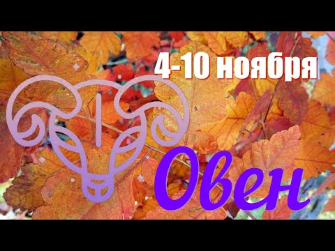 Видео: ОВЕН♈️Неделя с 4 по10 ноября 2024 года.