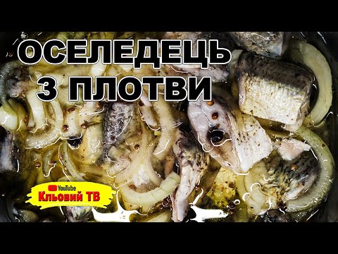 Видео: Оселедець з плотви