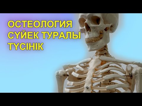 Видео: Сүйек туралы түсінік.Остеология
