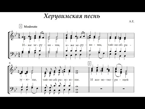 Видео: Анастасия Ехлакова Херувимская песнь