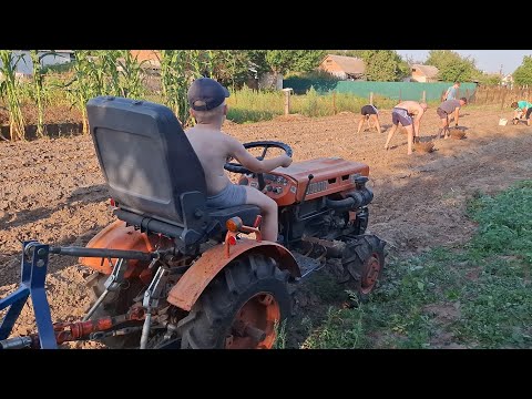 Видео: Коп 🥔🥔сусіду,закопав той викопуй‼️Славко Куботу віджав,сам 🥔🥔викопав💪Останній коп🥔🥔