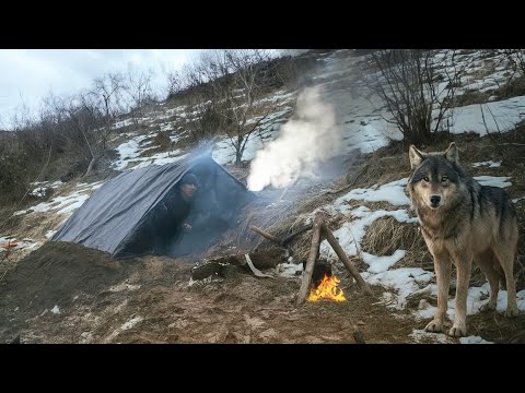 Видео: Строительство теплого убежища для выживания в дикой природе