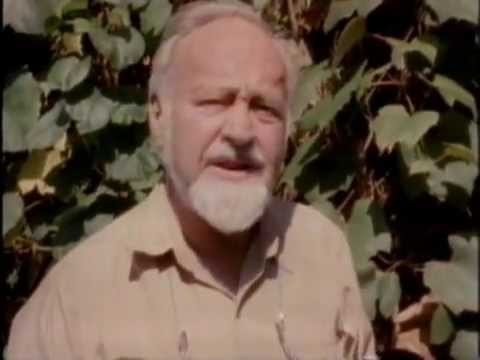 Видео: Глобальный садовник» - Серия 4. Город.