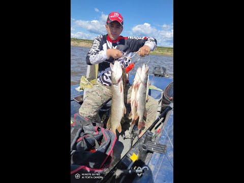 Видео: Нашли точку Судака😁Батька Иртыш