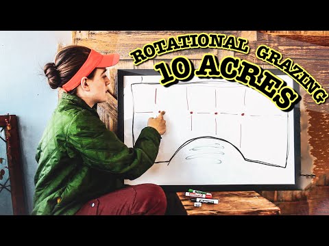 Видео: Система ротационного выпаса скота на 10 акров для зимы