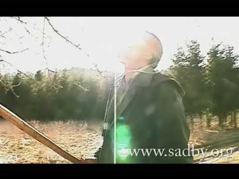 Видео: Обрезка и омоложение старых деревьев. Урок 8 Обрезка плодовых деревьев. Видеокурс. ©