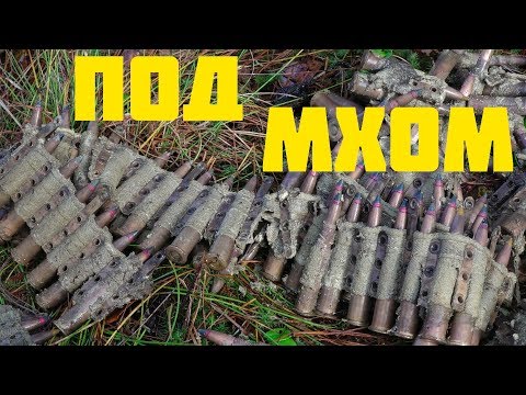 Видео: Винтовки и ящики с боекомплектами в Болоте! Состояние!  // Юрий Гагарин