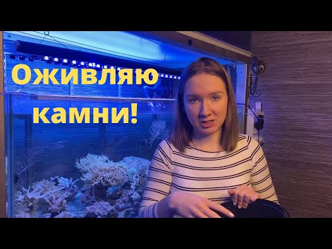Видео: Делаем из рифового камня биологический фильтр.
