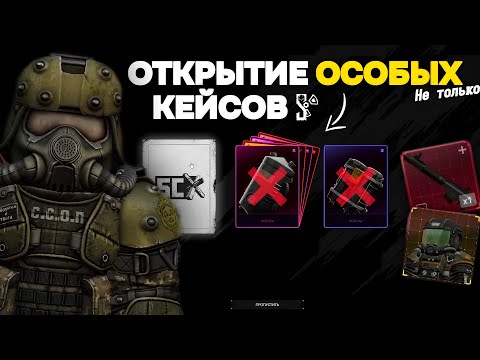 Видео: Открытие ОСОБЫХ и ИВЕНТОВЫХ Кейсов! | Пытаюсь Выбить ЭЛЬБРУС | STALCRAFT X | Дневник ЦА №24
