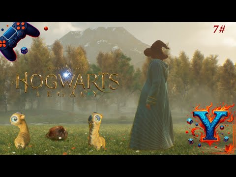 Видео: Сказочный зоопарк—Hogwarts Legacy #7